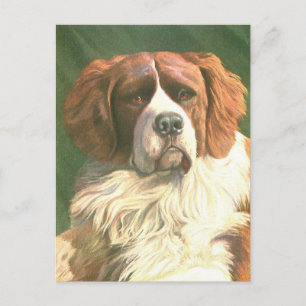 Postal Perro Terranova Antiguo