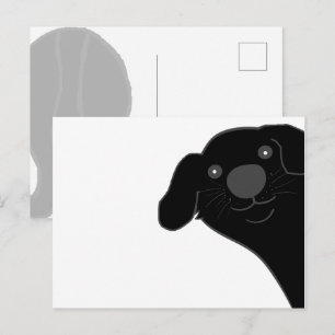 Postal Perro Terranova Negro Asomándose Dibujo Animado