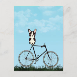 Postal Perro terrorífico de Boston sentado en bicicleta v