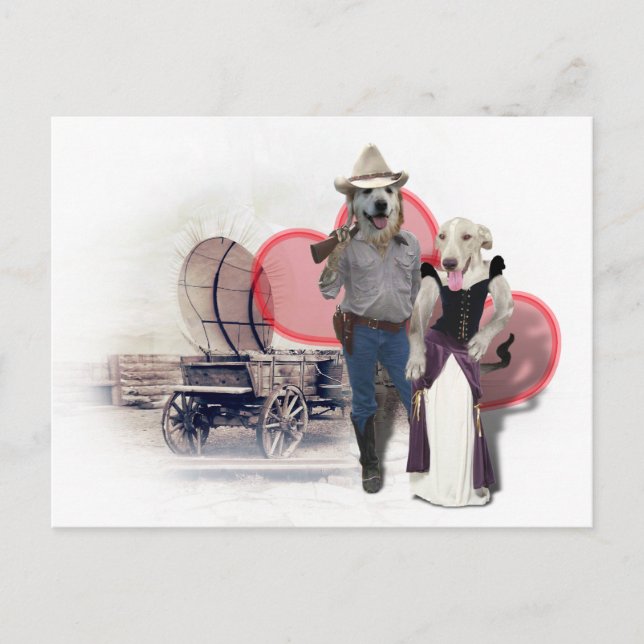 Postal Perro vaquero de la pareja occidental (Anverso)