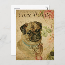 Postal Perro vintage de pug