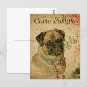 Postal Perro vintage de pug