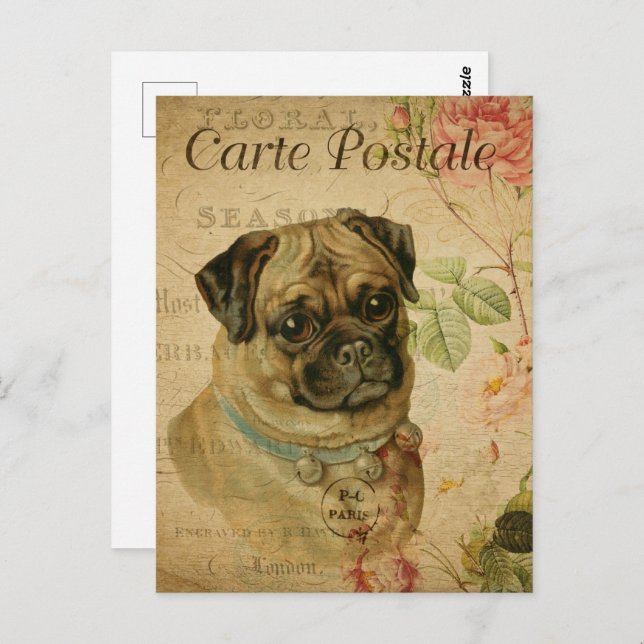 Postal Perro vintage de pug (Anverso / Reverso)
