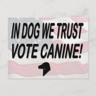 Postal Perro votado con bandera estadounidense