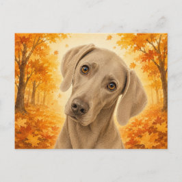 Postal Perro Weimaraner Bosque Otoño