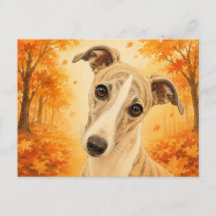 Perro Whippet Otoño Bosque