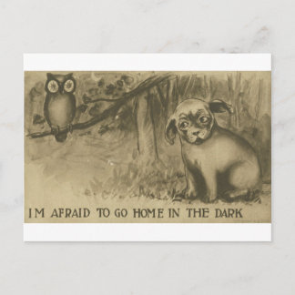 Postal perro y búho