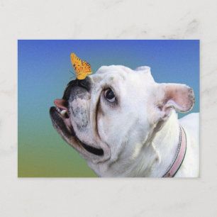 Postal Perro y mariposa