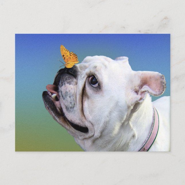 Postal Perro y mariposa (Anverso)