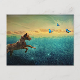 Postal Perro Y Mariposa