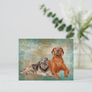 Postal Perros Adorables Sobre El Arte Que Te Falta