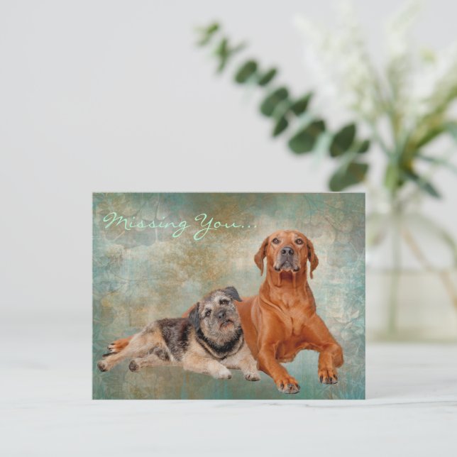 Postal Perros Adorables Sobre El Arte Que Te Falta (Anverso de pie)