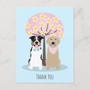 Postal Perros agradecidos junto al cerezo