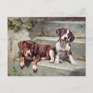 Postal Perros Cachorros Vintage Antiguo