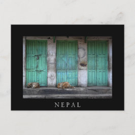 Postal Perros callejeros frente a puertas verdes sucias e