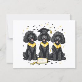 Postal Perros Caniche Estándar de Graduación