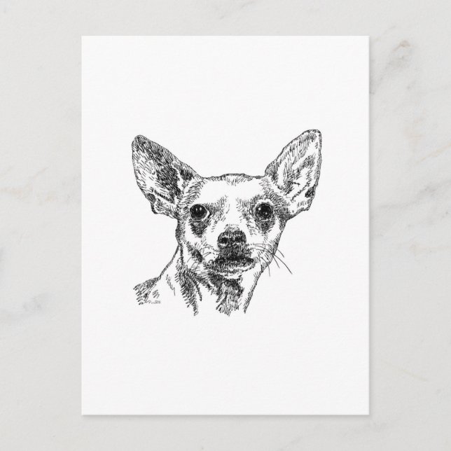 Postal Perros Chihuahua-Chiwawa (Anverso)