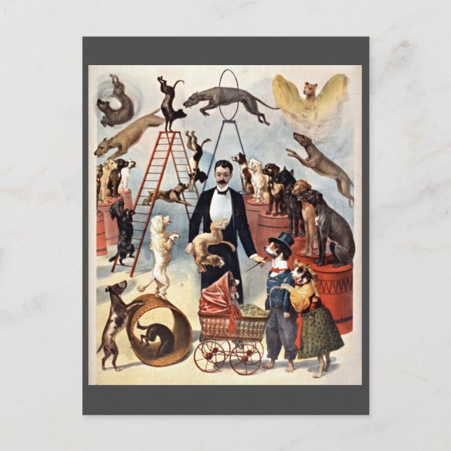 Postal Perros Circus, ilustracion vintage, (Anverso)
