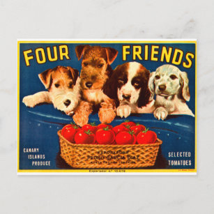Postal Perros con etiqueta de tazón de tomate de cosecha 