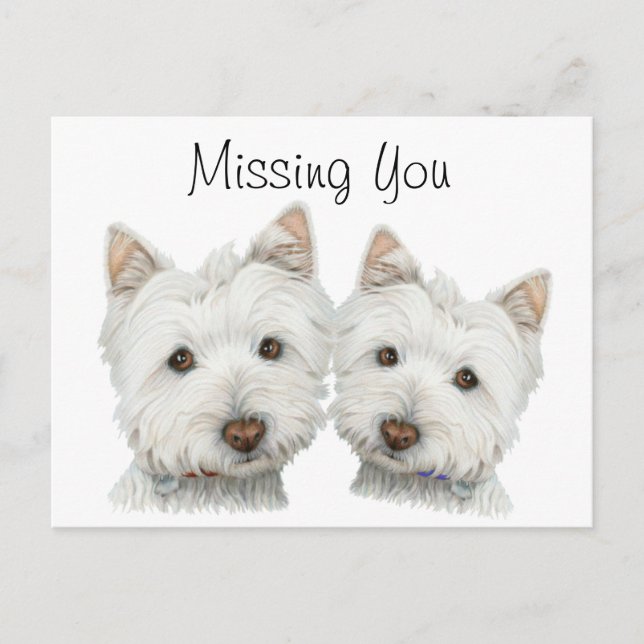 Postal Perros Cute Westie (Anverso)