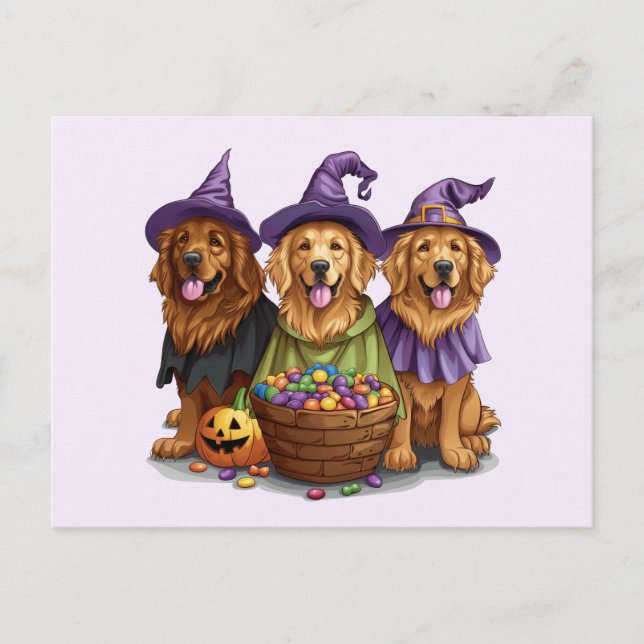 Postal Perros de bruja de Halloween Golden Retriever (Anverso)