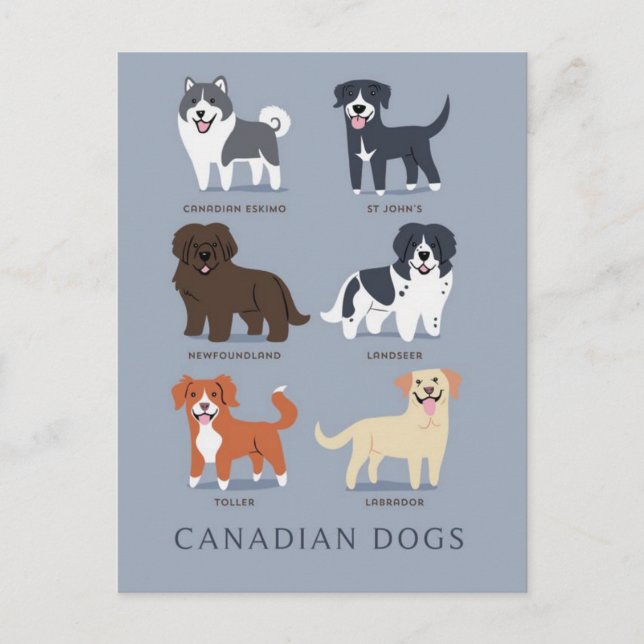 Postal Perros de Canadá (Anverso)