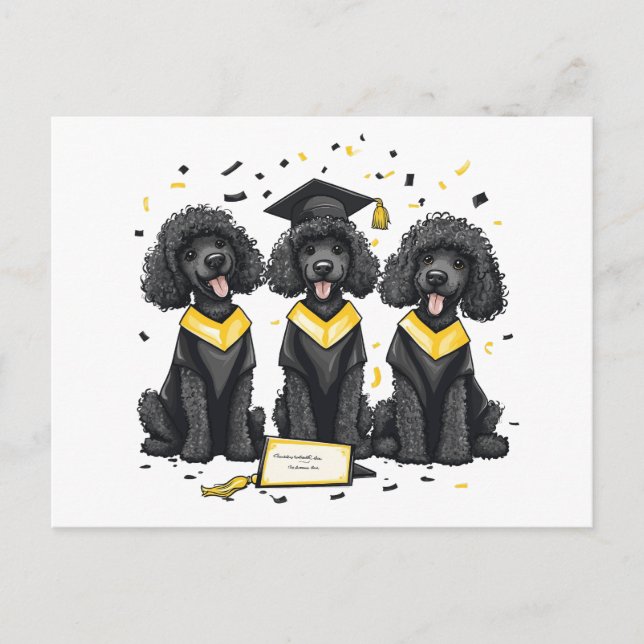 Postal Perros de canapé estándar de graduación (Anverso)
