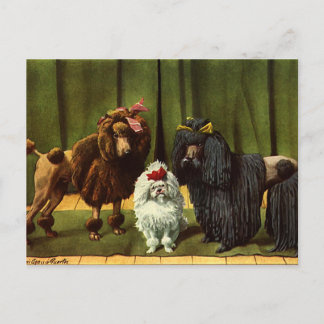 Postal Perros de cangrejo