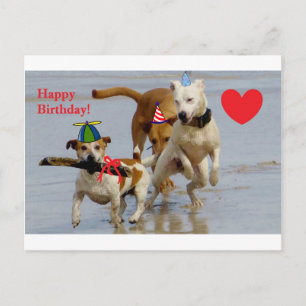 Postal perros de cumpleaños felices