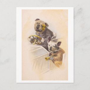 Postal Perros de época que conducen un coche