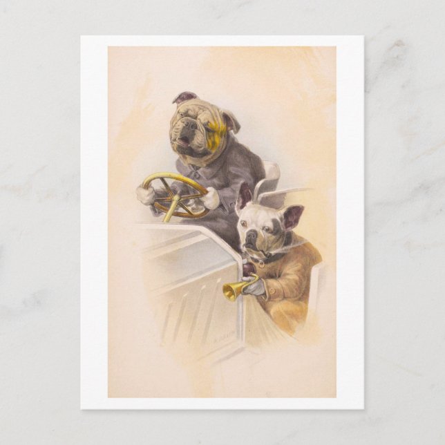 Postal Perros de época que conducen un coche (Anverso)