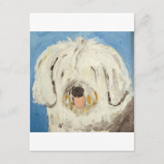 Postal perros de eric ginsburg