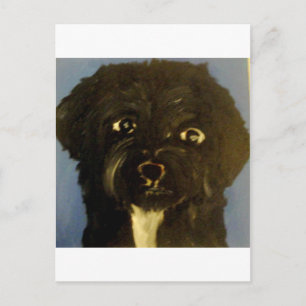 Postal perros de eric ginsburg