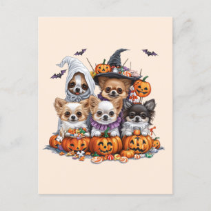 Postal Perros de Halloween Chihuahua
