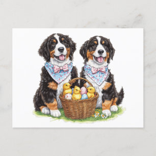 Postal Perros de montaña de la Semana Santa Bernesa