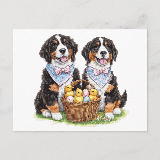 Postal Perros de montaña de la Semana Santa Bernesa (Anverso)