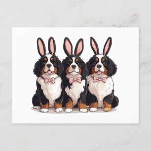 Postal Perros de montaña de la Semana Santa Bernesa