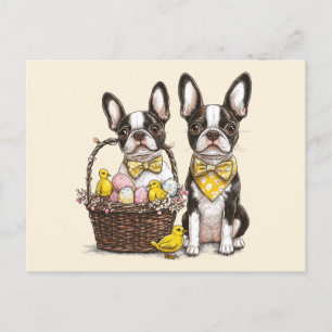 Postal Perros de Pascua de Boston Terrier