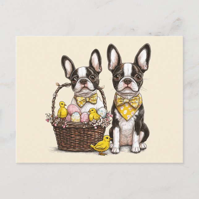 Postal Perros de Pascua de Boston Terrier (Anverso)