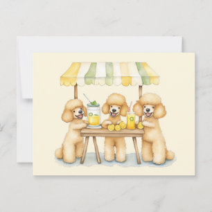 Postal Perros De Poodle Estándar Con Soporte De Lemonada