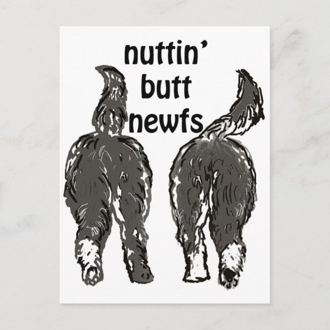 Postal Perros de Terranova (Anverso)