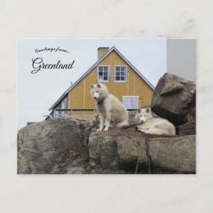 Postal Perros de Trineo en Upernavik Groenlandia