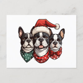 Postal Perros del Boston Terrier