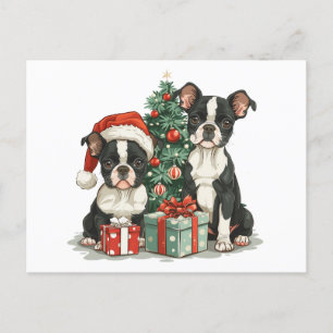 Postal Perros del Boston Terrier