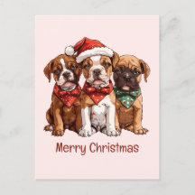Perros del Boxer navideño