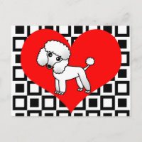 Perros del corazón de I - Poodle blanco