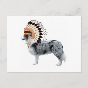 Postal Perros Ditzy~Postcard Original~Color del borde
