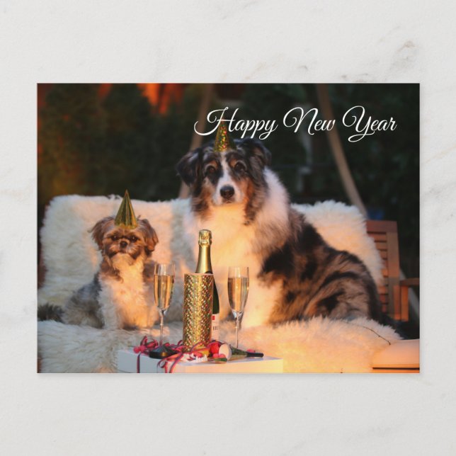 Postal Perros divertidos de Año Nuevo Feliz con gorra fie (Anverso)