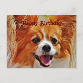 Postal Perros Divertidos Feliz Cumpleaños