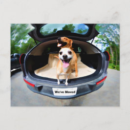 Postal Perros Divertidos Para El Traslado En Coche